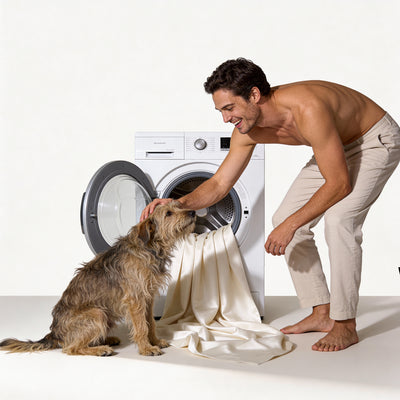 Signature Bamboo Sheet Set